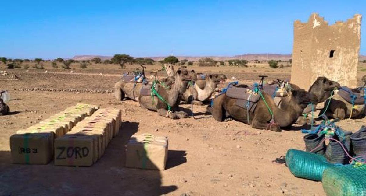 ضبط أزيد من طن من المخدرات على ظهر جمال بالحدود مع الجزائر