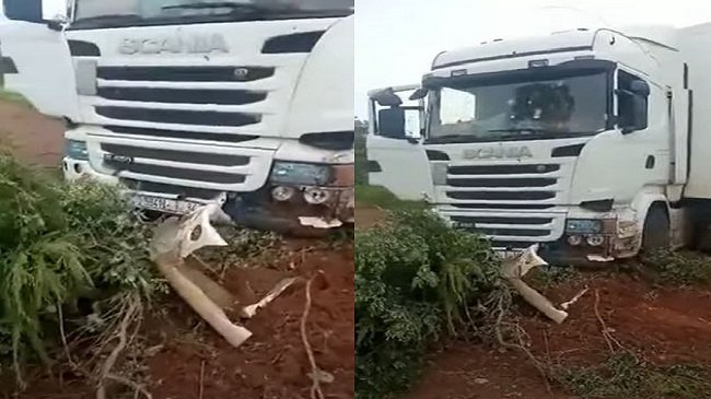 الكرامة الوجودية للإنسان والحق في الحياة.. على هامش قتل مغاربة أبرياء شمال مالي