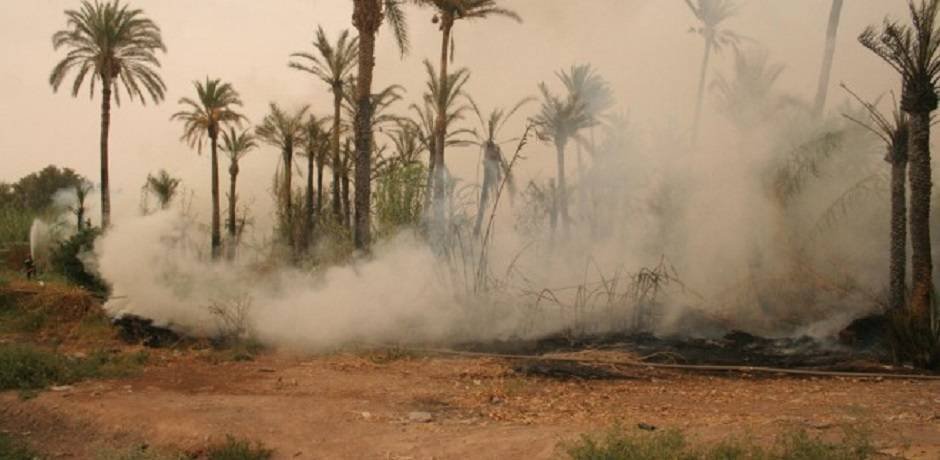 عاجل : حريق بواحة تيغمرت ….التفاصيل