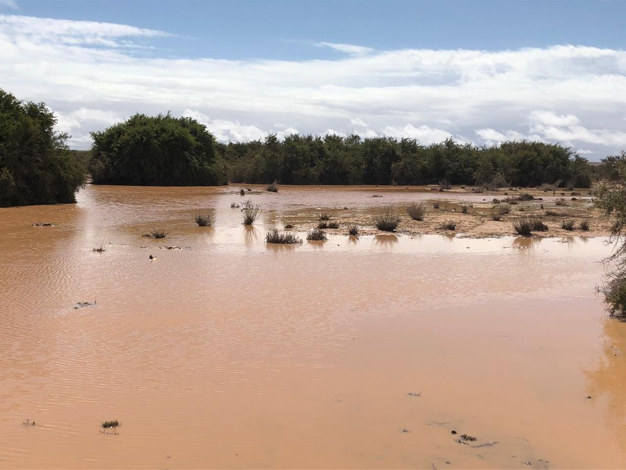 نشرة إنذارية.. أمطار ورياح قوية مرتقبة في عدد من الأقاليم الجنوبية