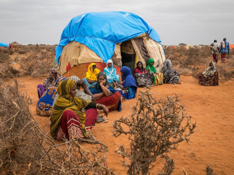 الرئيس السنغالي يدعو لاعتماد الحلول الإفريقية لضمان السيادة الغذائية للقارة.