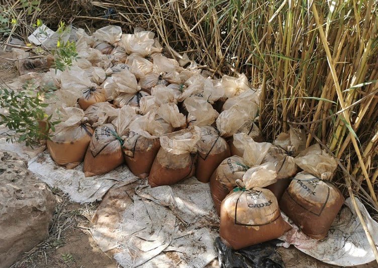 حجز كميات من “الماحيا” في نواحي أكادير