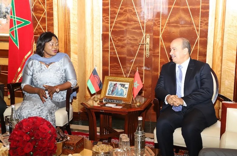 ميارة يثمن دعم ملاوي لمغربية الصحراء