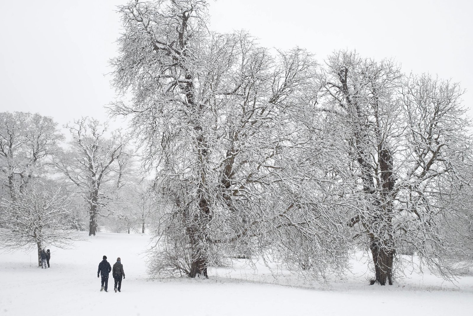 طقس الاثنين.. أمطار وتساقطات ثلجية كثيفة في مناطق من المملكة