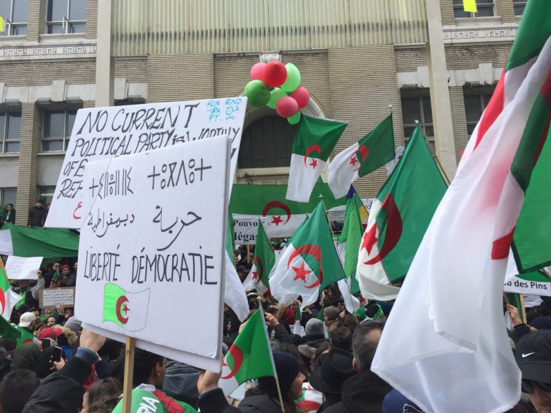 مقررة أممية تدعو إلى وقف أعمال الترهيب والقمع بالجزائر