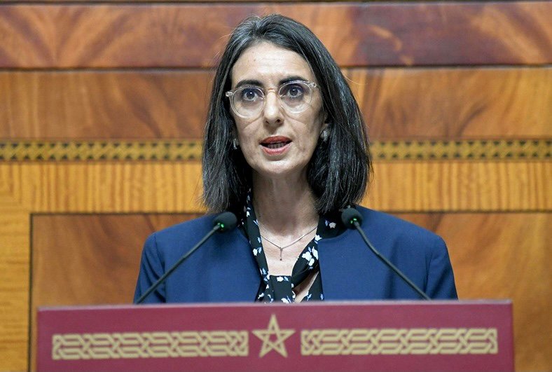 التلاعب في وثائق استيراد الغازوال الروسي.. وزيرة الاقتصاد توضح