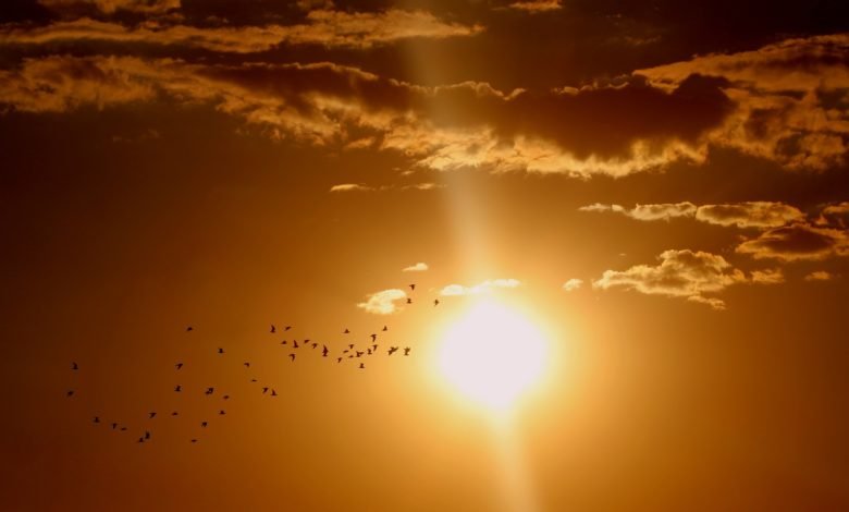 طقس الاثنين.. ارتفاع في درجات الحرارة بمناطق من المملكة