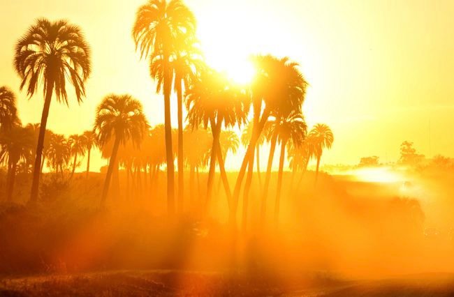 طقس الثلاثاء.. أجواء حارة وقطرات ورعد بمناطق من المملكة