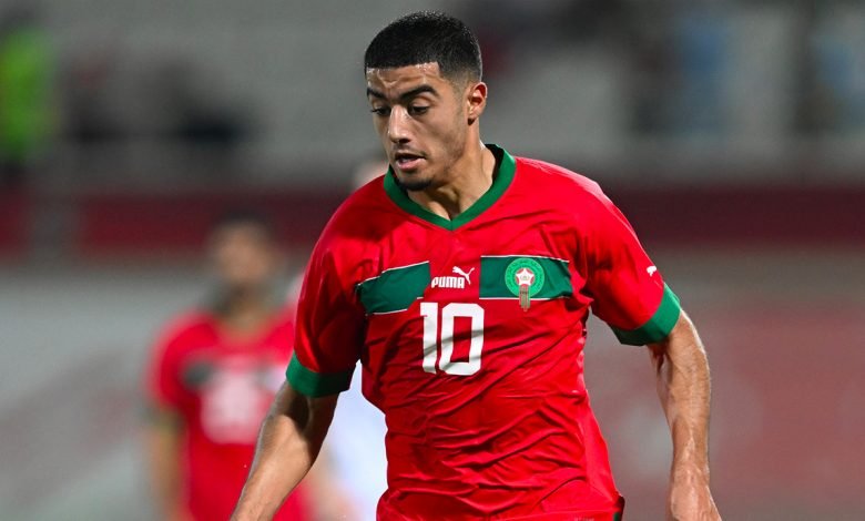 الزروري يتألق و يقود بيرنلي الى الدوري الإنجليزي الممتاز