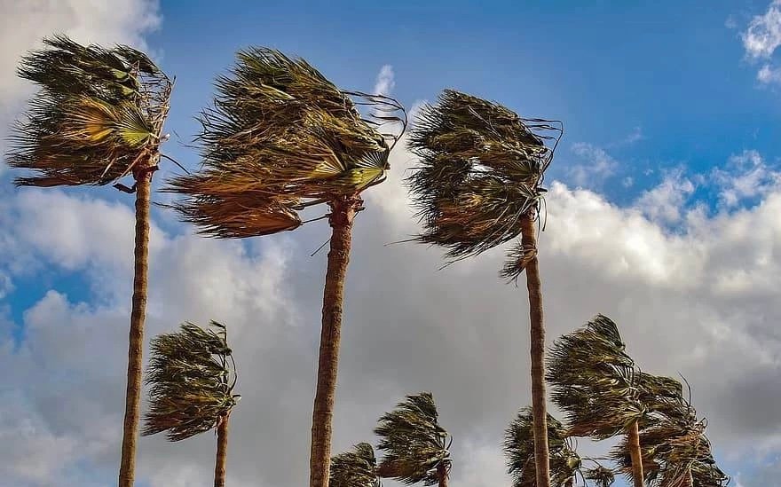 نشرة إنذارية .. هبوب رياح قوية بعدد من اقاليم المملكة