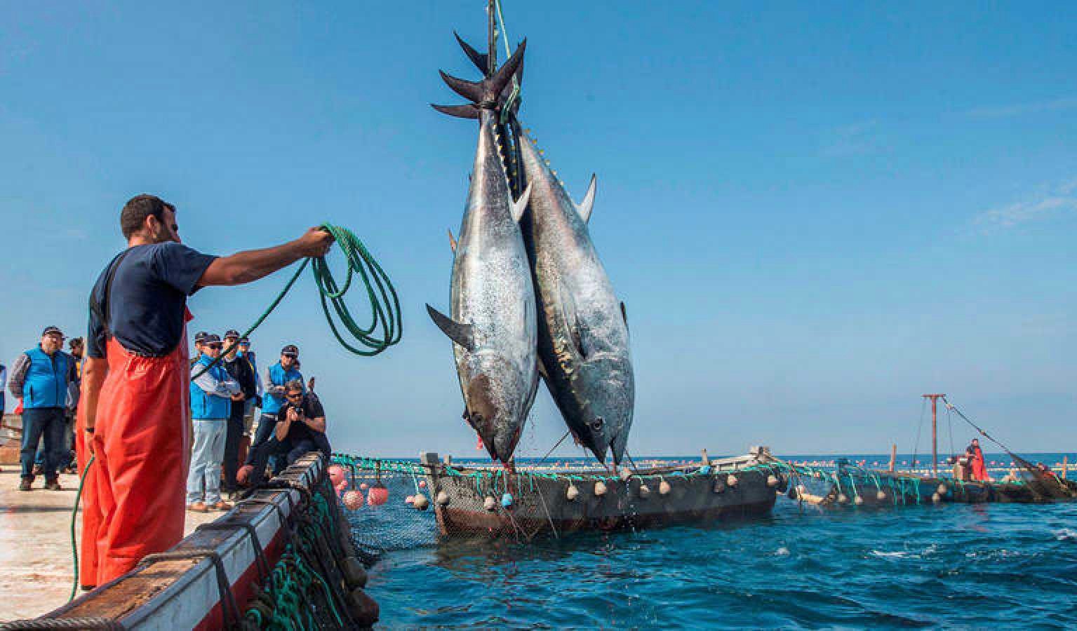 الحكومة المغربية توضح بشأن الصيد في المياه الإسبانية