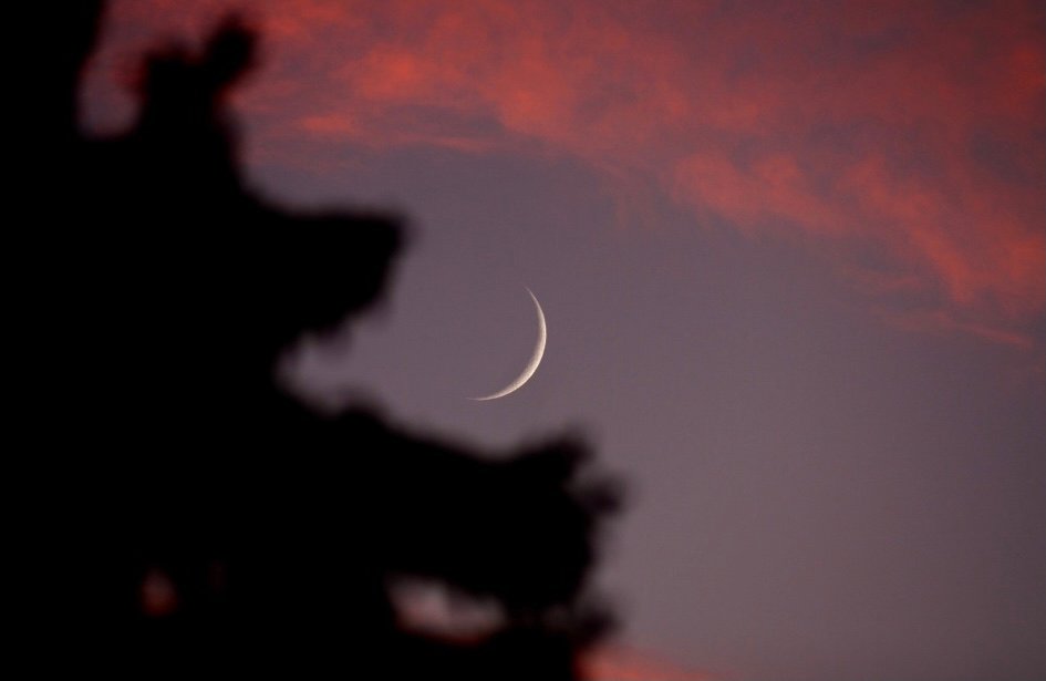 فاتح شهر ذي القعدة بالمغرب غدا الأحد