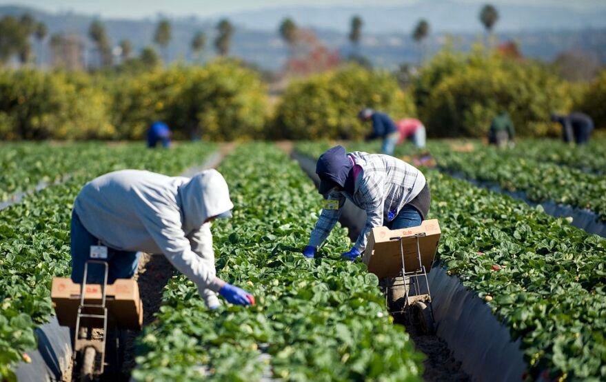 تكوين 200 عاملة موسمية مغربية في مجال ريادة الأعمال بهويلبا