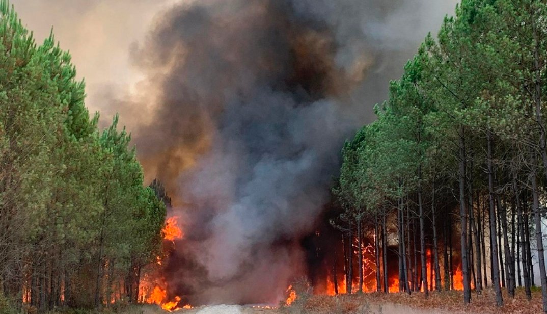 حرائق الغابات.. تحذيرات من مخاطر متوسطة إلى شديدة