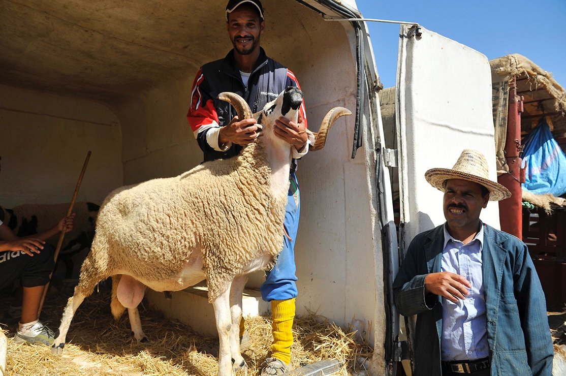 صرف المعاشات بصفة استثنائية قبل العيد