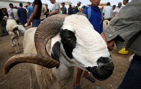 نفقات الأسر في عيد الأضحى تقدر بأكثر من 18 مليار درهم