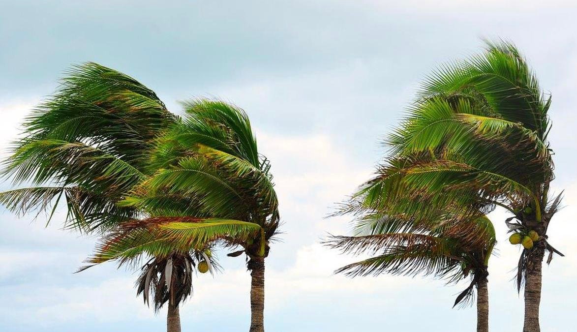 نشرة إنذارية.. رياح قوية بعدد من مناطق المملكة