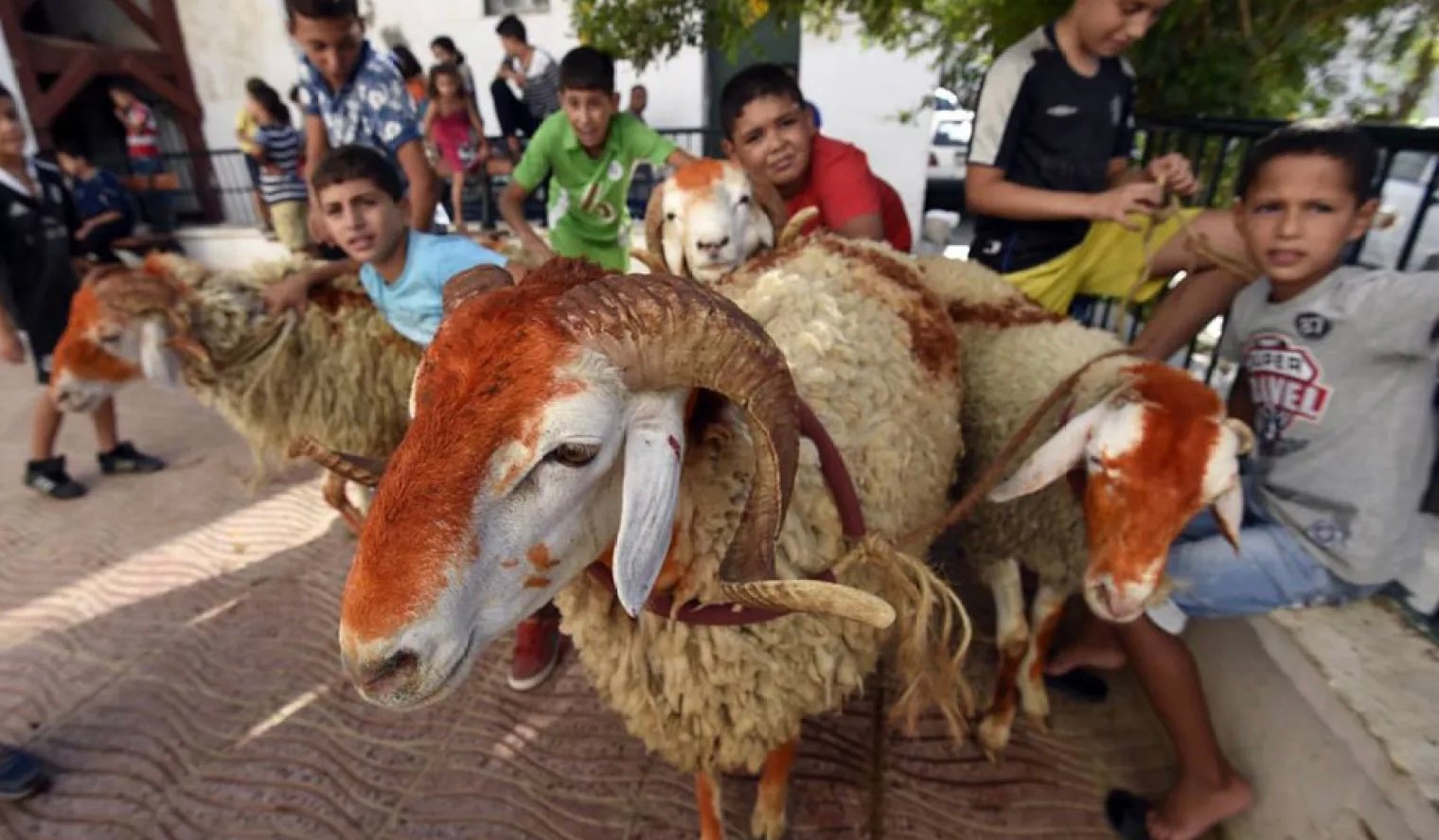 مصر تعلن 28 يونيو يوم عيد الأضحى