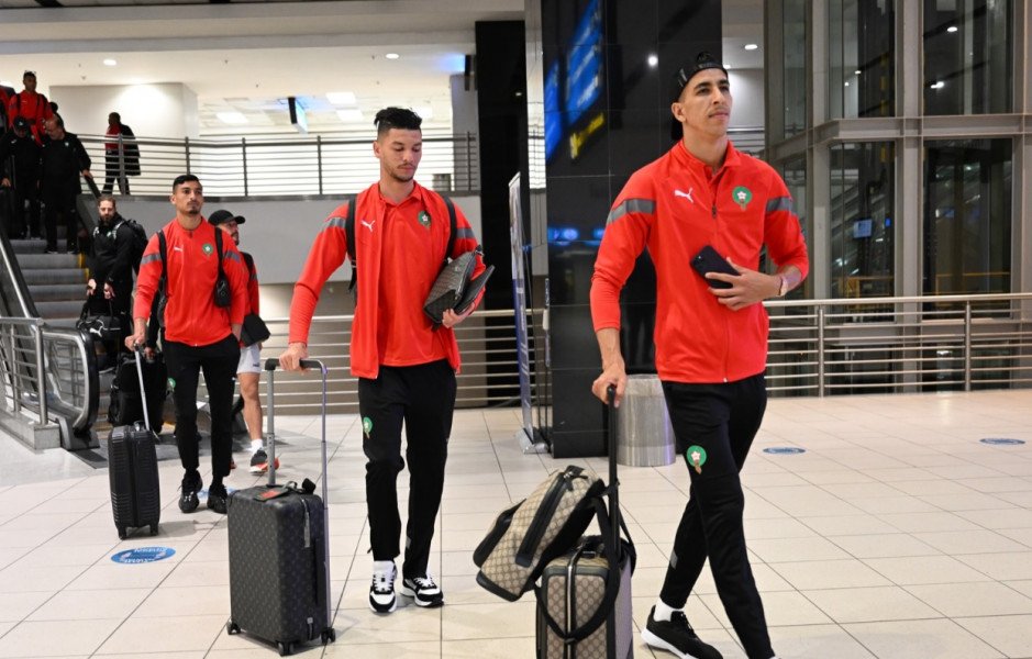 الأسود في جنوب إفريقيا