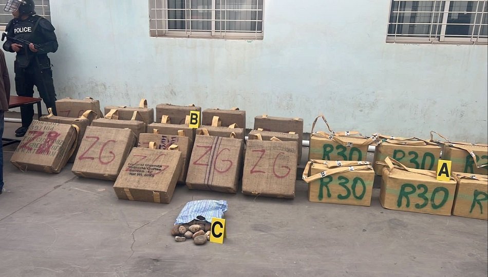 إجهاض عملية تهريب 830 كلغ من مخدر الشيرا بخريبكة