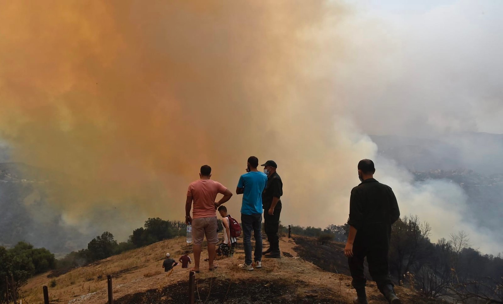 مقتل 34 شخصا في حرائق الغابات بالجزائر