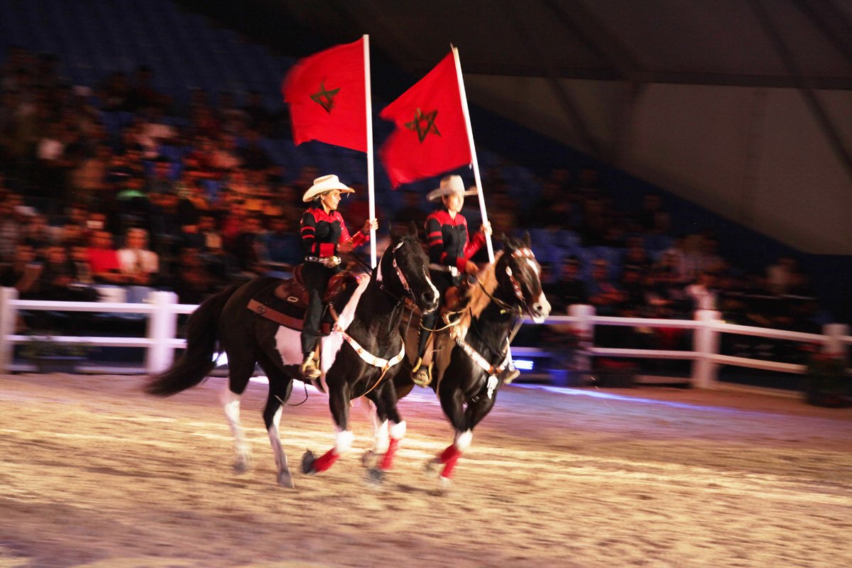 الجديدة تستضيف الدورة 14 لمعرض الفرس