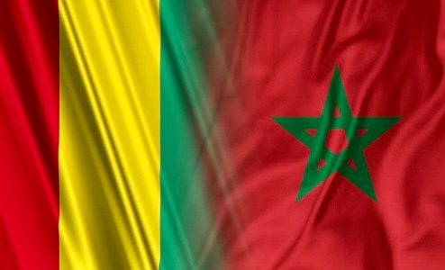المغرب وغينيا يؤكدان على جعل علاقات الشراكة بينهما نموذجا للتعاون الإفريقي