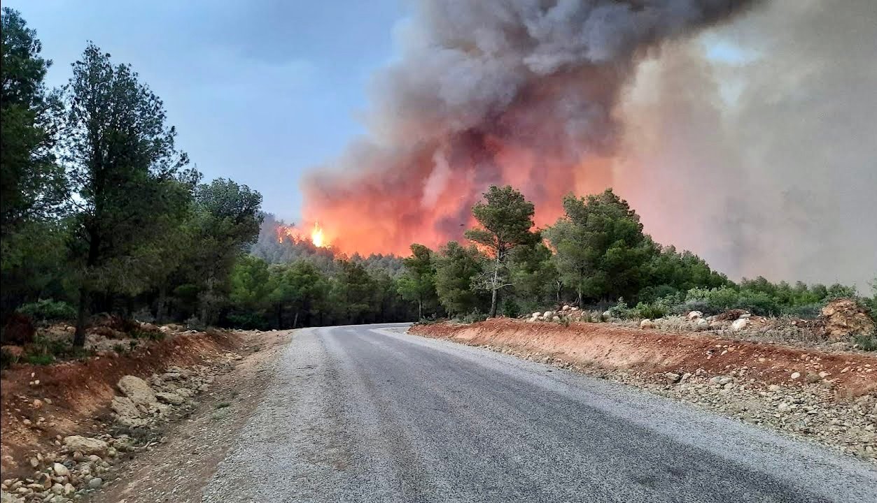 السلطات تخمد حريقا بالمجال الغابوي ضواحي بني ملال