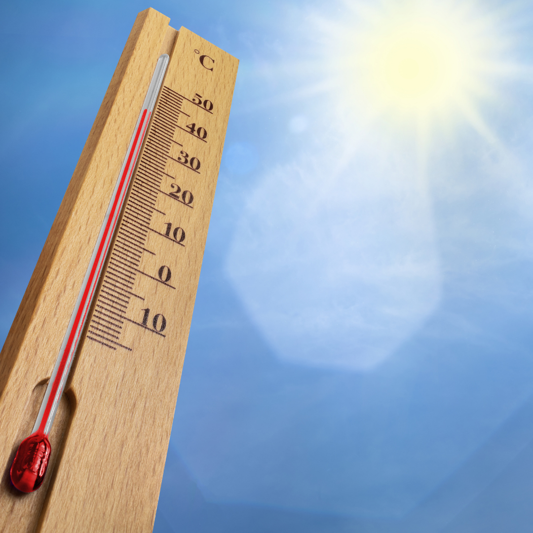 جلالة الملك يهنئ رئيس جمهورية الرأس الأخضر