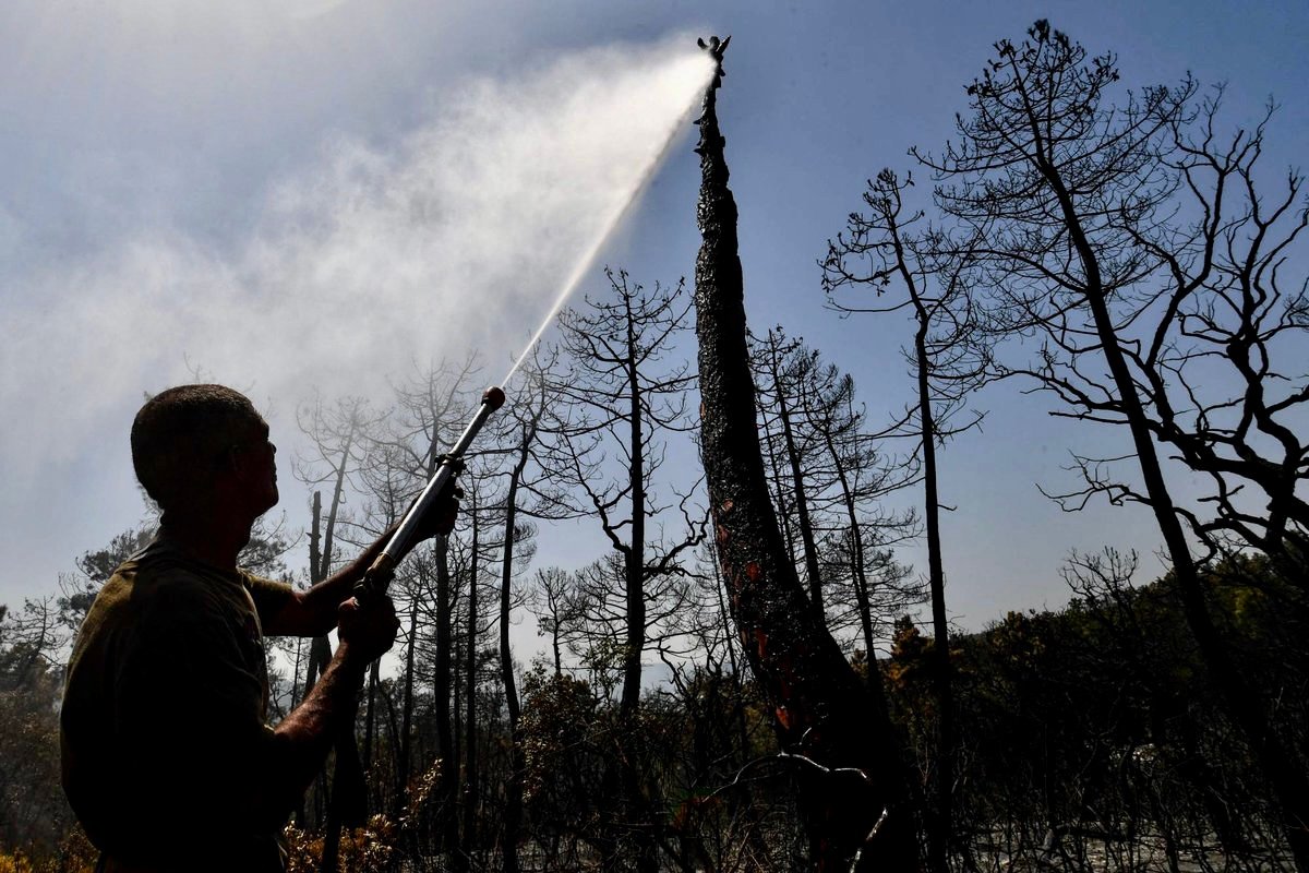 حر شديد في تونس والجزائر وسط انقطاع للكهرباء وحرائق غابات