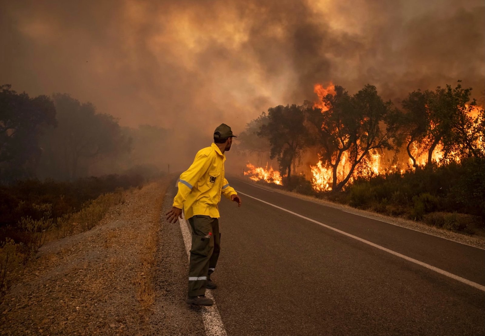 الوكالة الوطنية للمياه والغابات تدعو إلى توخي الحيطة والحذر من الحرائق