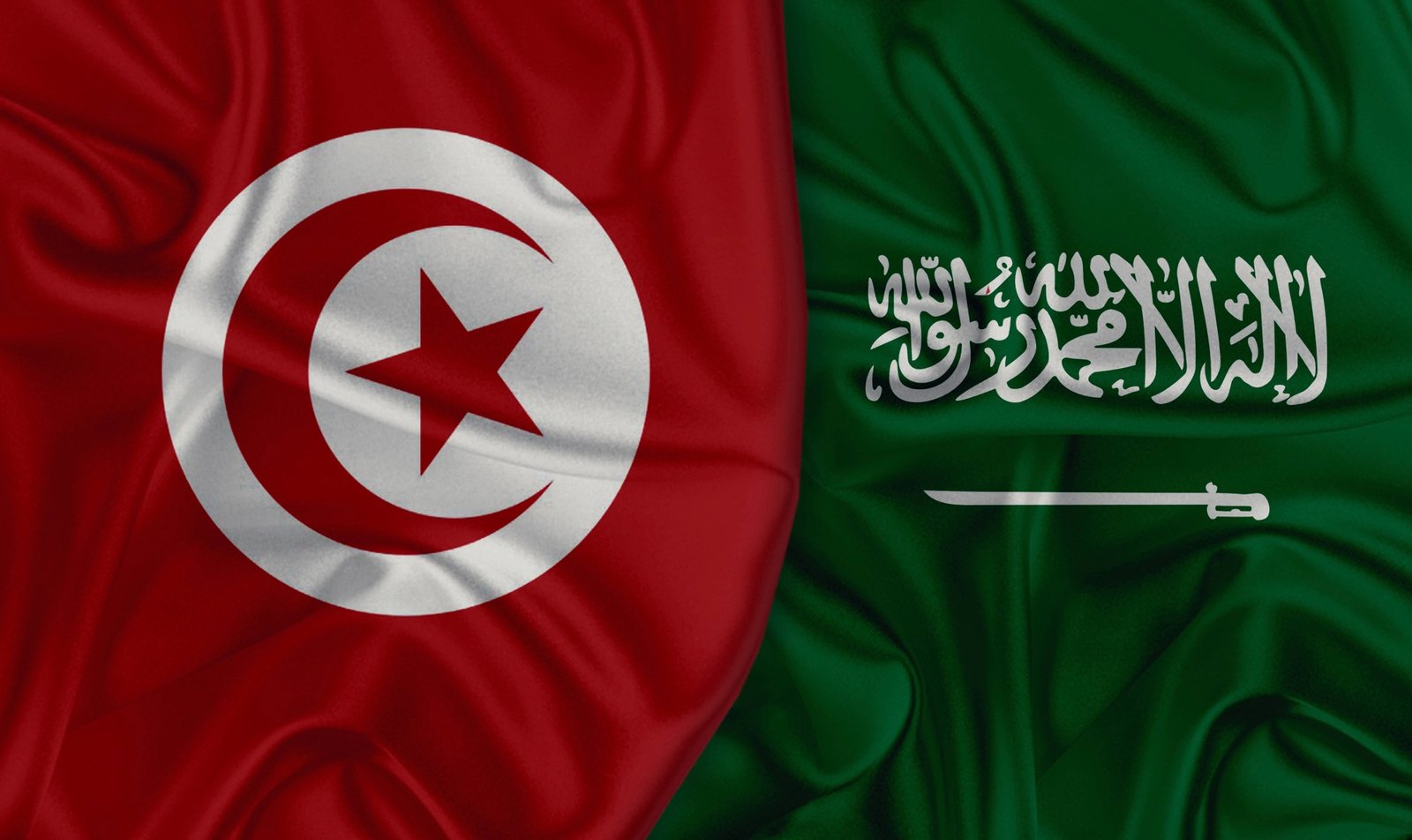 السعودية تقدم قرضا ميسرا ومنحة بقيمة 500 مليون دولار لتونس