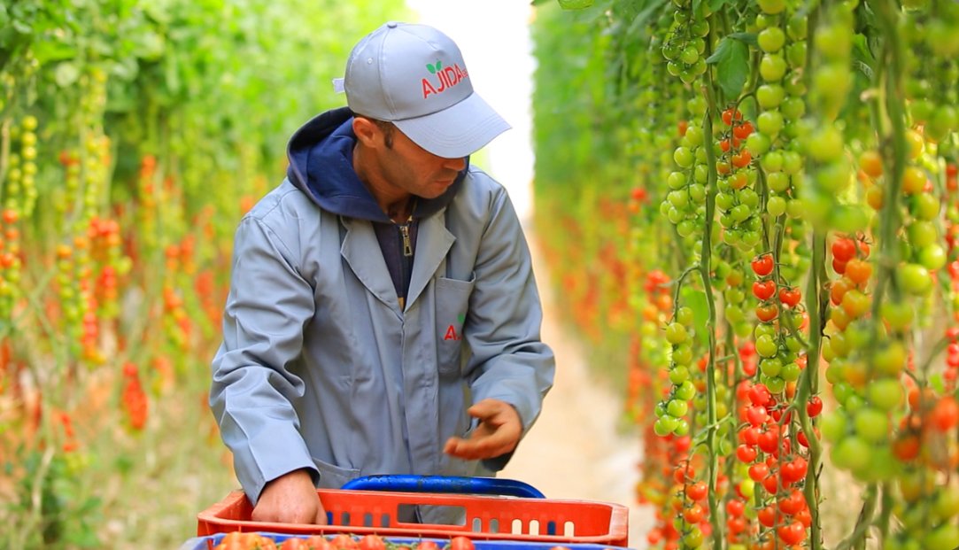 اتفاقية لتسهيل تشغيل العمال الزراعيين الموسميين المغاربة في فرنسا