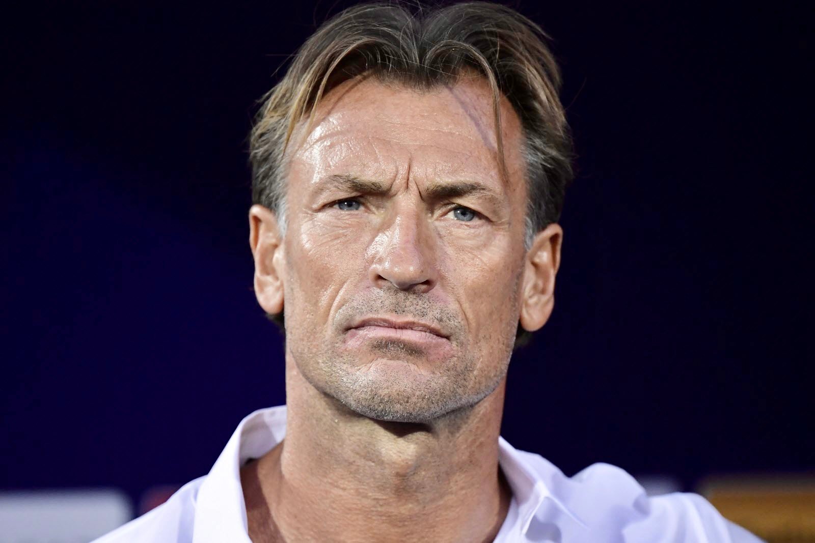 رونار : المغرب لم يبلغ دور الثمن بالصدفة .. ونحن هنا من أجل التأهل