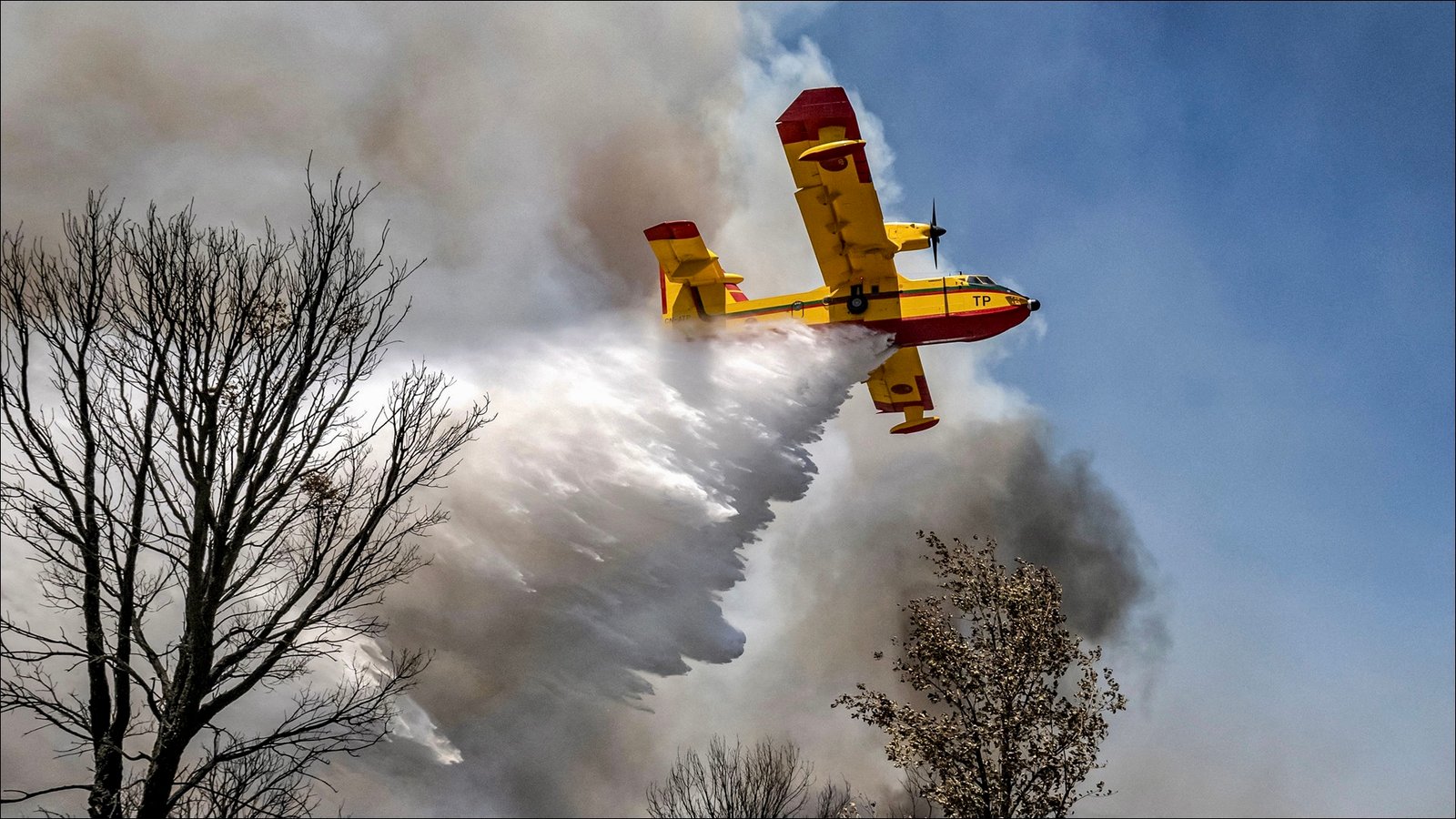 حرائق الغابات.. خطورة متوسطة إلى قصوى بعدد من أقاليم المملكة