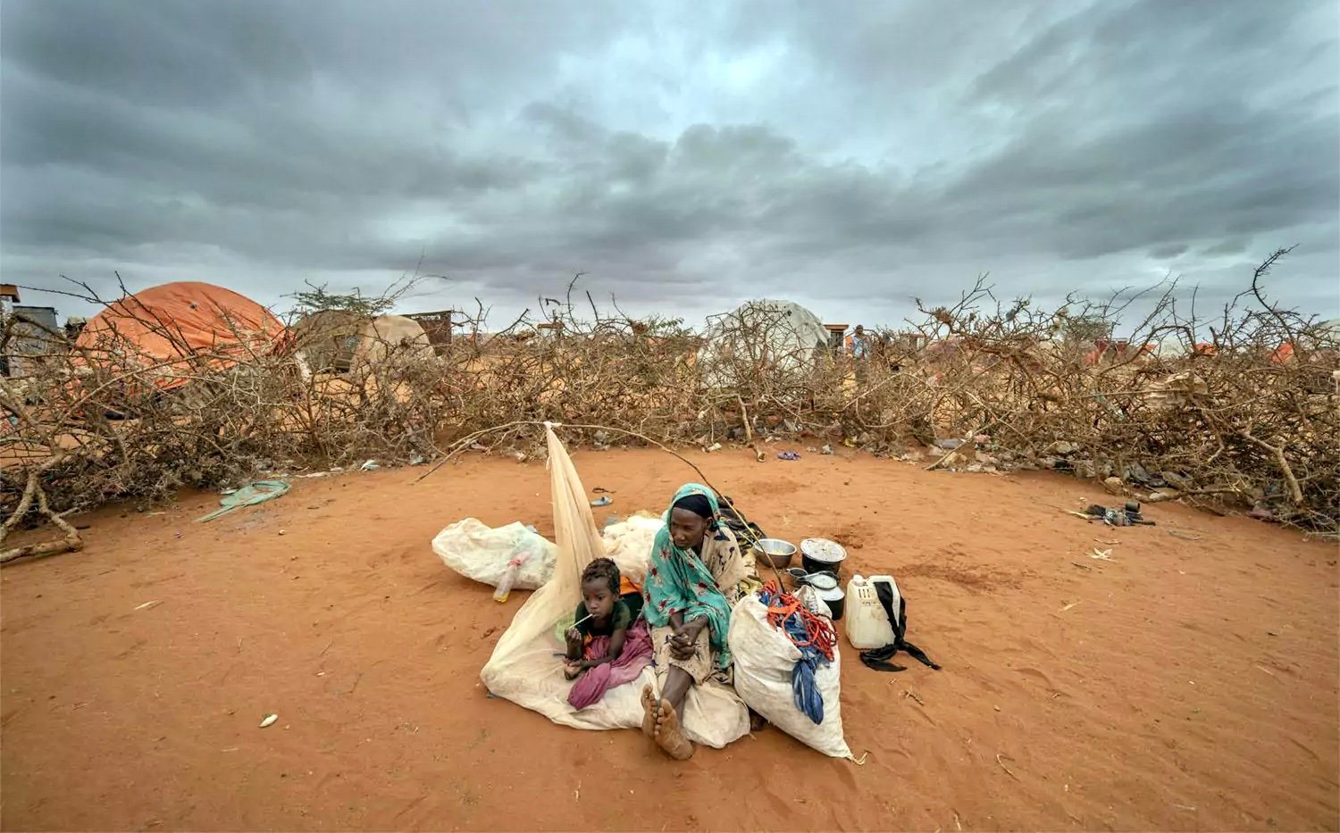 الفاو: أكثر من 20 مليون سوداني على حافة المجاعة