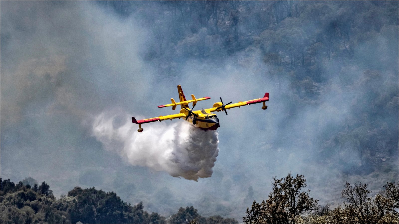 تازة .. تطويق حريق غابة مغراوة بنسبة 65 بالمائة
