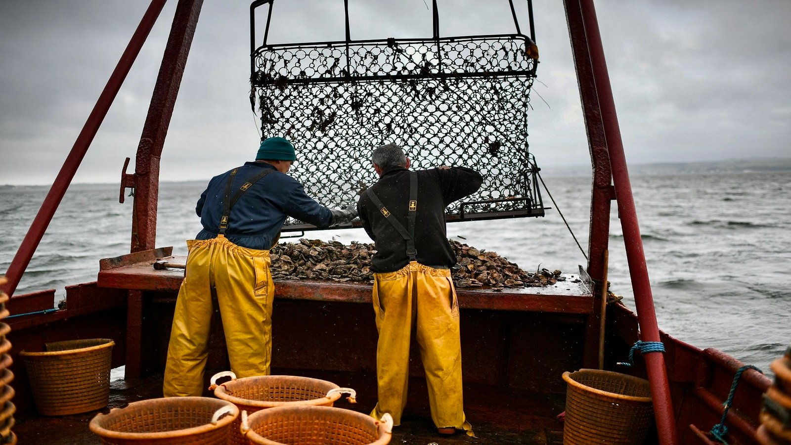 الصيد الساحلي والتقليدي.. انخفاض الكميات المفرغة بـ 17%