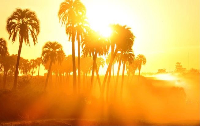 السبت ..طقس حار بعدد من مناطق المملكة