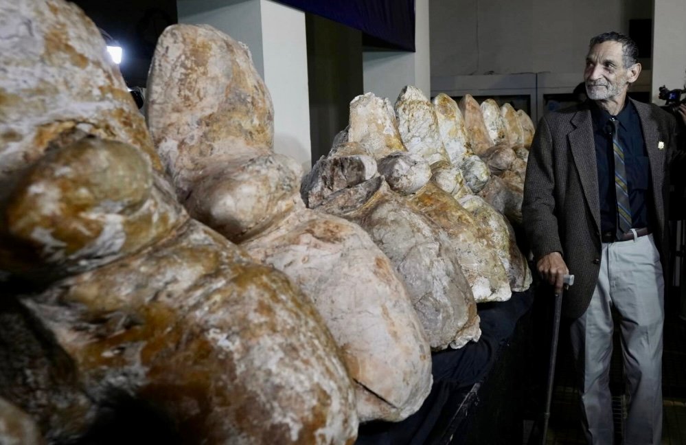 حفرية حوت بعمر 39 مليون عام قد تعود إلى “أثقل حيوان”