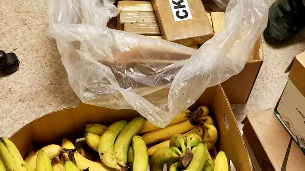 الأكبر في تاريخ البلاد.. الشرطة الإسبانية تحجز 9,5 أطنان من الكوكايين