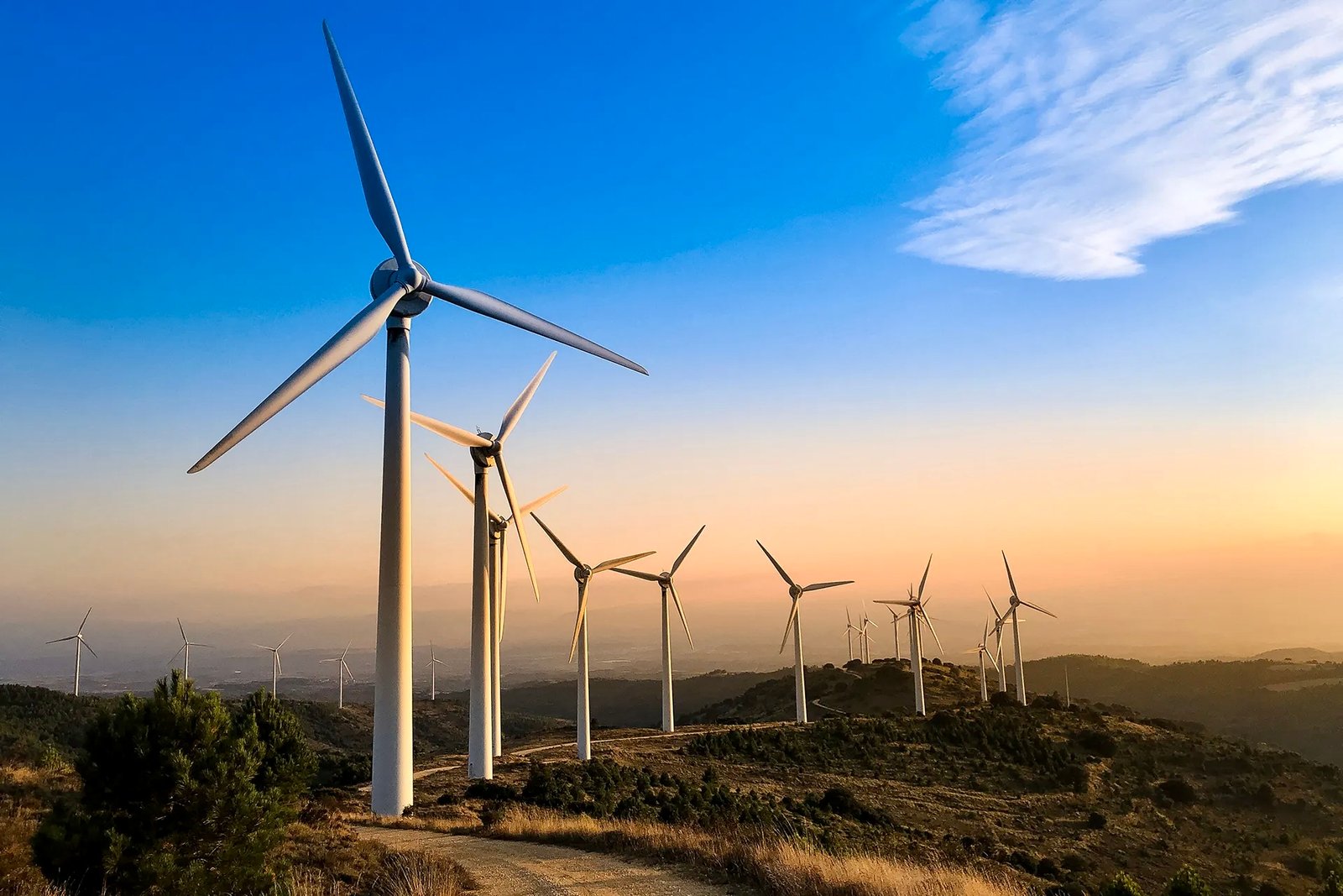 الوكالة الدولية للطاقة: حصر الاحترار بـ1,5 درجة مئوية لا يزال ممكنا