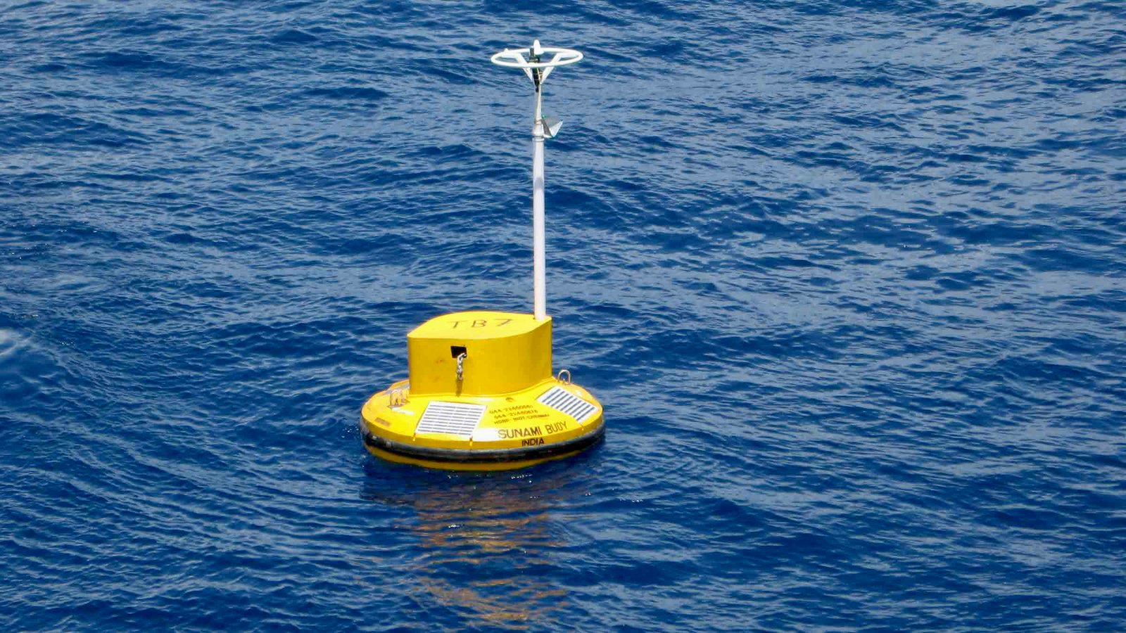 تثبيت جهاز للتنبيه من حدوث تسونامي بميناء الجرف الأصفر