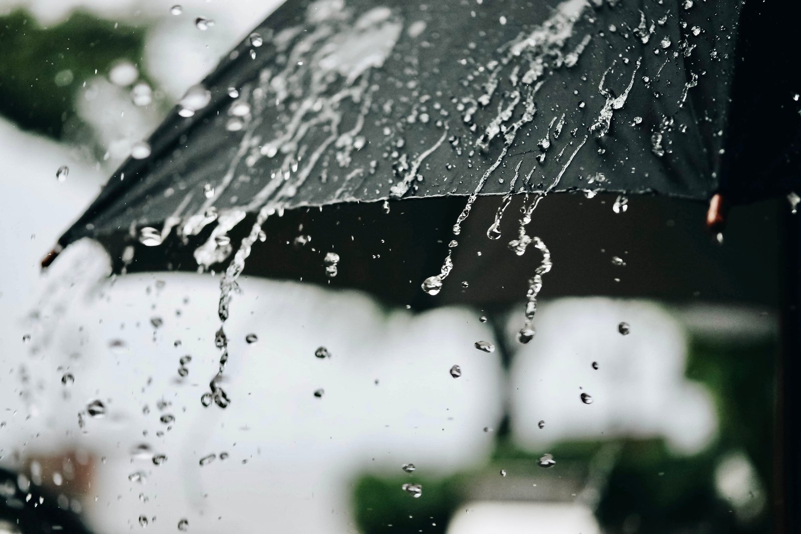 نشرة إنذارية: أمطار رعدية مرتقبة بعدد من مناطق المملكة