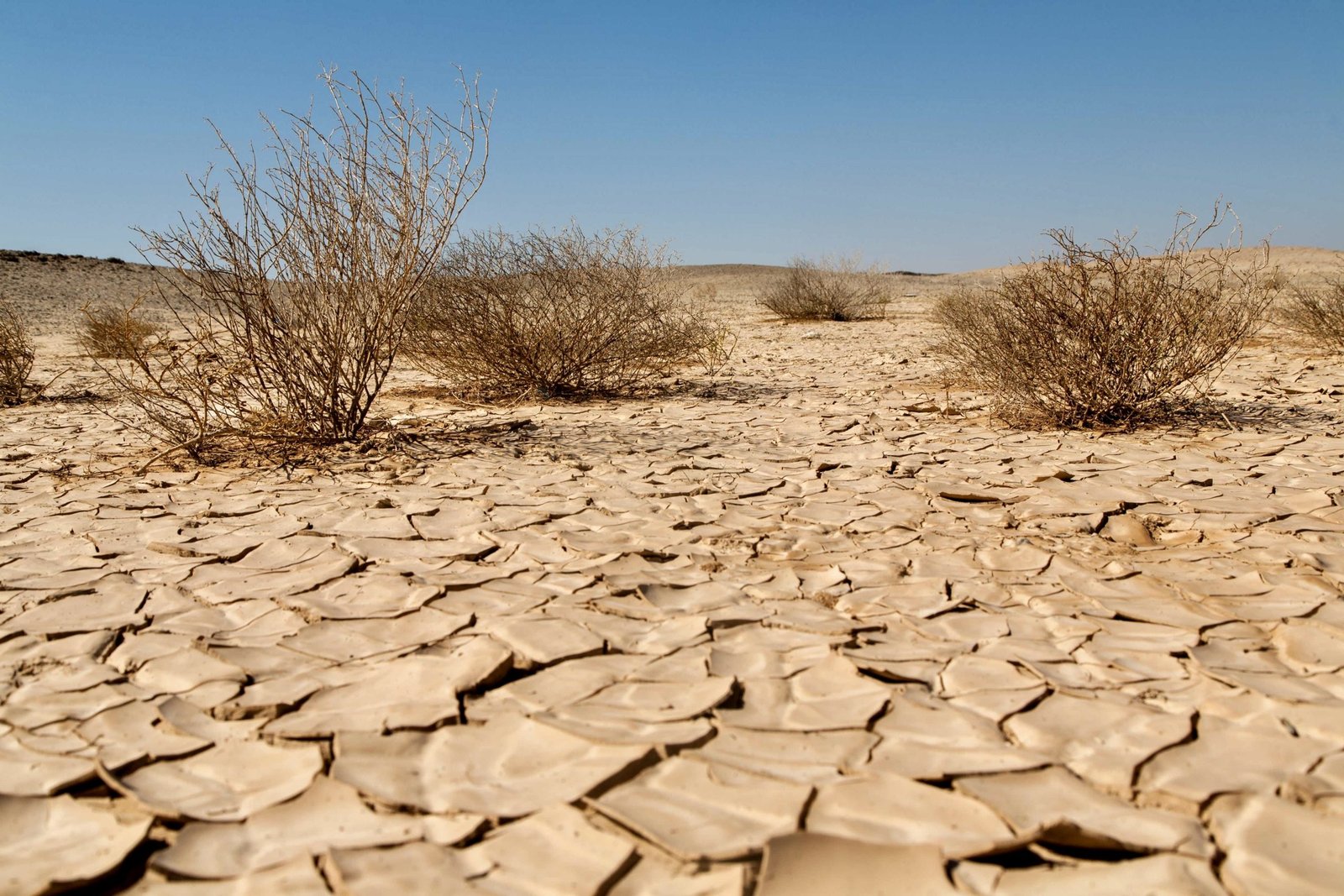 الطموح المناخي.. قمة أممية حاسمة في ظل تفاقم وتيرة التغيرات المناخية