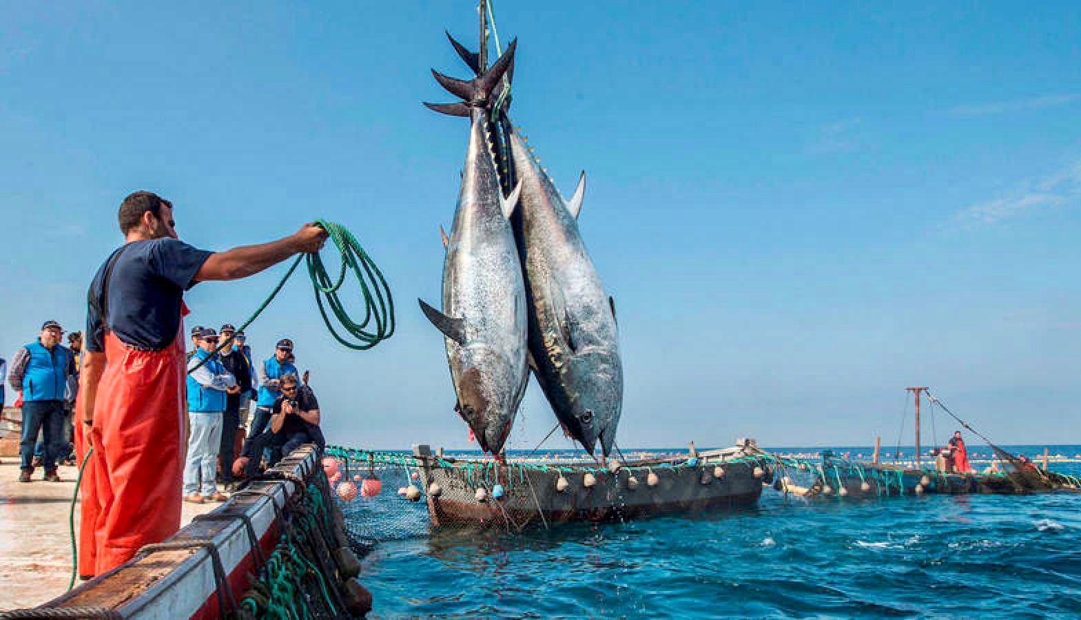 المغرب يوقع اتفاقية للحفاظ على التنوع البيولوجي في المياه الدولية
