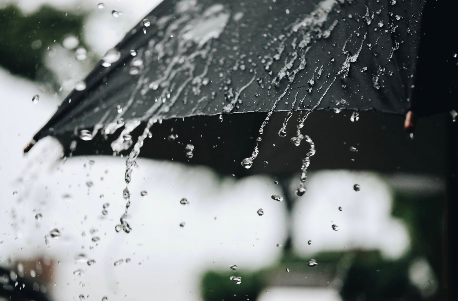 طقس الأحد ..أمطار متفرقة بعدد من مناطق المملكة