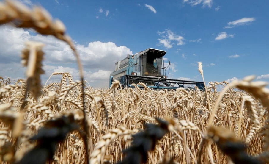 روسيا تتصدر قائمة مصدري القمح في العالم