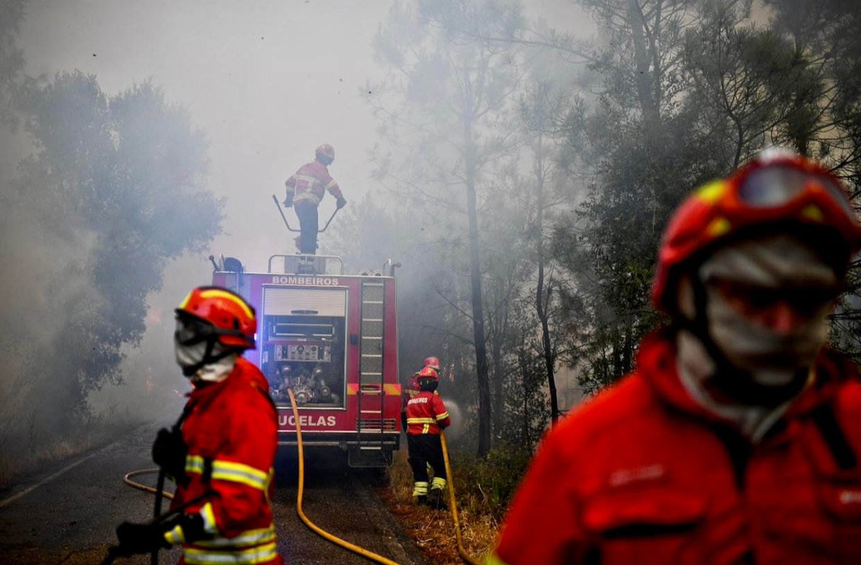 كندا تشهد اسوأ موسم حرائق في تاريخها