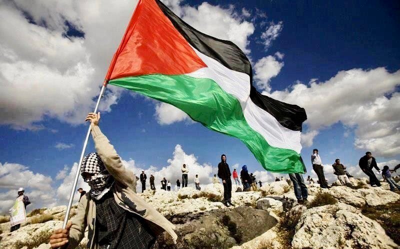 ارتفاع حصيلة القتلى الفلسطينيين إلى 5087 بينهم 2055 طفلا